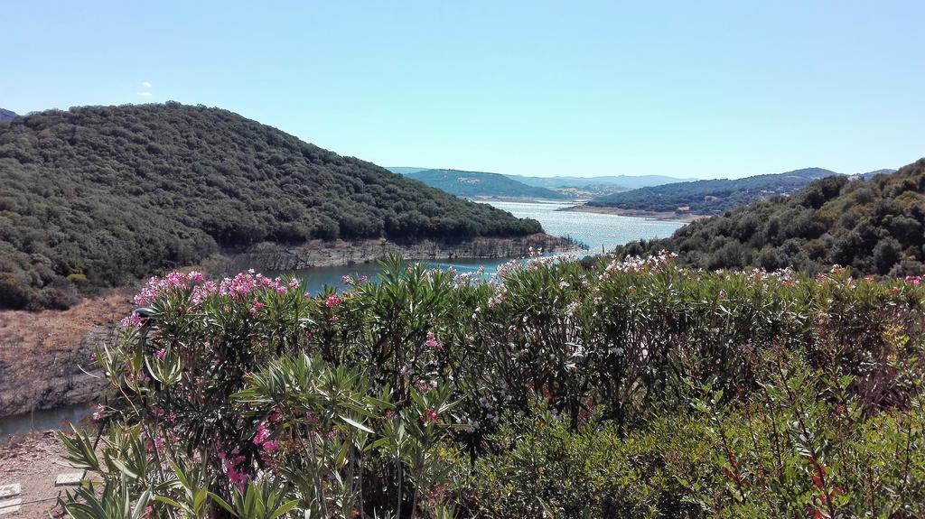 Hotel Aldiola Country Resort Sant'Antonio di Gallura Bagian luar foto